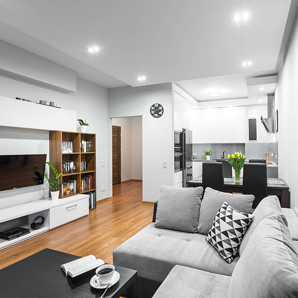 Light and spacious flat in new style with large sofa, dining set and open kitchen